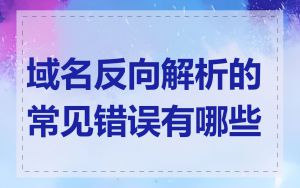 域名反向解析的常见错误有哪些