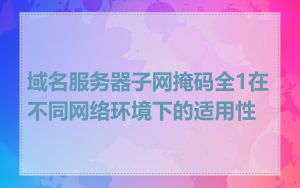 域名服务器子网掩码全1在不同网络环境下的适用性
