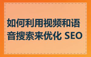 如何利用视频和语音搜索来优化 SEO