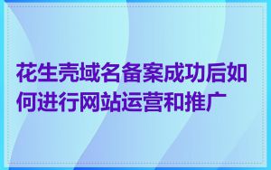 花生壳域名备案成功后如何进行网站运营和推广