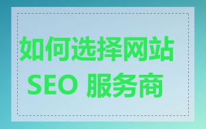 如何选择网站 SEO 服务商