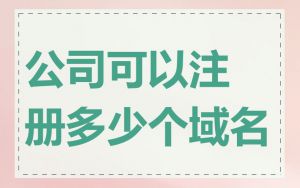 公司可以注册多少个域名