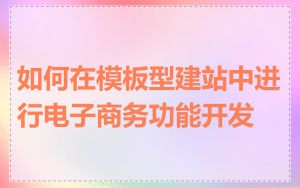 如何在模板型建站中进行电子商务功能开发