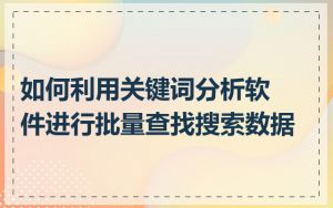 如何利用关键词分析软件进行批量查找搜索数据