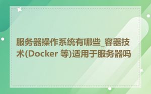 服务器操作系统有哪些_容器技术(Docker 等)适用于服务器吗