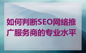 如何判断SEO网络推广服务商的专业水平
