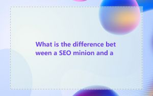 What is the difference between a SEO minion and a