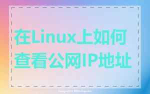 在Linux上如何查看公网IP地址
