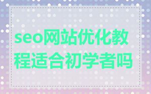 seo网站优化教程适合初学者吗