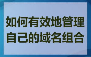 如何有效地管理自己的域名组合