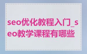seo优化教程入门_seo教学课程有哪些