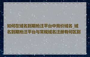 如何在域名到期抢注平台中竞价域名_域名到期抢注平台与常规域名注册有何区别