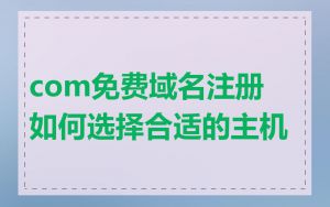 com免费域名注册如何选择合适的主机