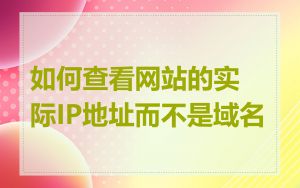 如何查看网站的实际IP地址而不是域名