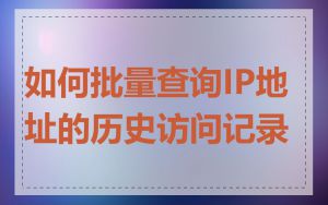 如何批量查询IP地址的历史访问记录