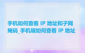 手机如何查看 IP 地址和子网掩码_手机端如何查看 IP 地址