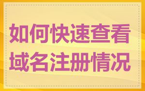 如何快速查看域名注册情况