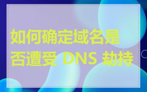 如何确定域名是否遭受 DNS 劫持