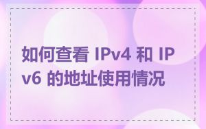如何查看 IPv4 和 IPv6 的地址使用情况