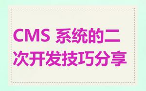CMS 系统的二次开发技巧分享