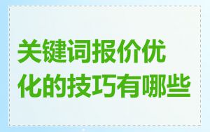 关键词报价优化的技巧有哪些
