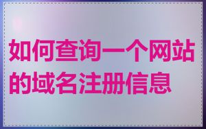如何查询一个网站的域名注册信息