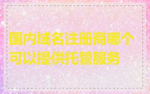 国内域名注册商哪个可以提供托管服务