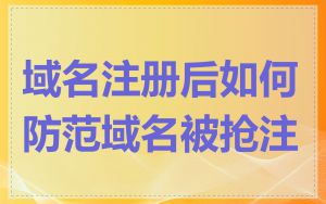 域名注册后如何防范域名被抢注