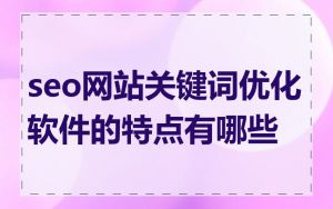 seo网站关键词优化软件的特点有哪些