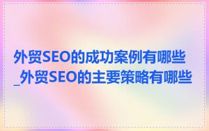 外贸SEO的成功案例有哪些_外贸SEO的主要策略有哪些