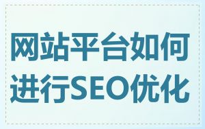 网站平台如何进行SEO优化