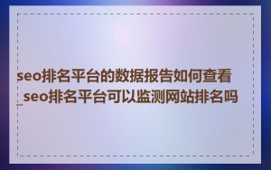 seo排名平台的数据报告如何查看_seo排名平台可以监测网站排名吗