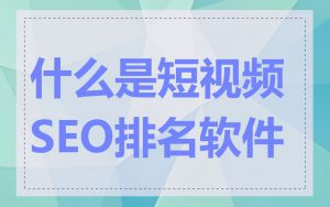 什么是短视频SEO排名软件