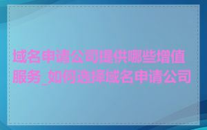 域名申请公司提供哪些增值服务_如何选择域名申请公司