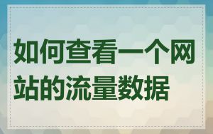 如何查看一个网站的流量数据