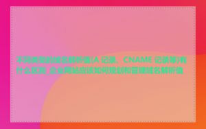 不同类型的域名解析值(A 记录、CNAME 记录等)有什么区别_企业网站应该如何规划和管理域名解析值