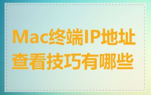 Mac终端IP地址查看技巧有哪些