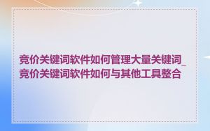 竞价关键词软件如何管理大量关键词_竞价关键词软件如何与其他工具整合