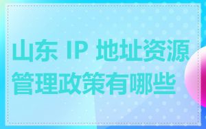 山东 IP 地址资源管理政策有哪些