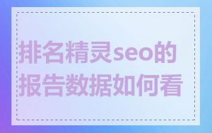 排名精灵seo的报告数据如何看