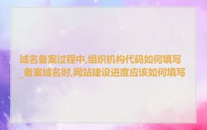 域名备案过程中,组织机构代码如何填写_备案域名时,网站建设进度应该如何填写