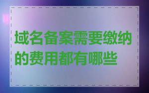 域名备案需要缴纳的费用都有哪些