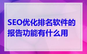 SEO优化排名软件的报告功能有什么用
