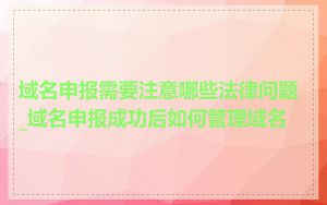 域名申报需要注意哪些法律问题_域名申报成功后如何管理域名