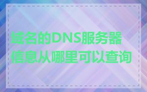 域名的DNS服务器信息从哪里可以查询