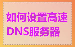 如何设置高速DNS服务器