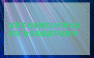 域名节点查询对SEO有什么影响_什么是域名节点查询