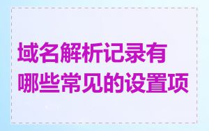 域名解析记录有哪些常见的设置项