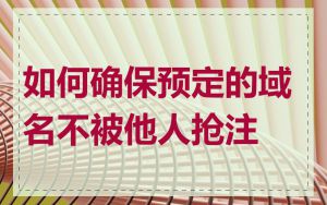 如何确保预定的域名不被他人抢注