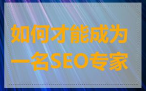 如何才能成为一名SEO专家